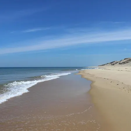 Joli En Bois A 7 Mn Des Plages Du Bassin D'arcachon Appartement *