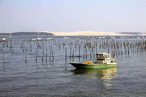 Апартаменты Joli En Bois A 7 Mn Des Plages Du Bassin D'arcachon