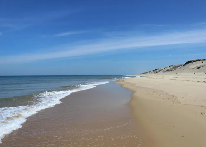 Joli En Bois A 7 Mn Des Plages Du Bassin D'arcachon Апартаменты *