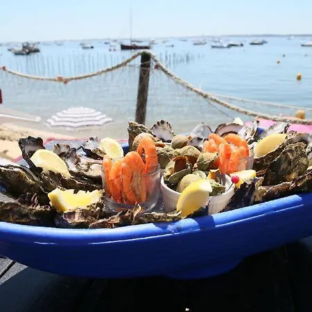 Appartement Joli En Bois à 7 Mn Des Plages Du Bassin D'arcachon