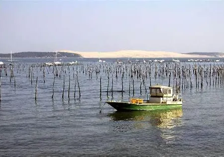 公寓 Joli En Bois A 7 Mn Des Plages Du Bassin D'arcachon